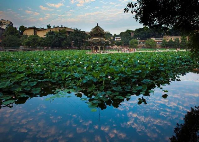 富顺一工地发现古墓！墓门雕刻非常精美(图5)