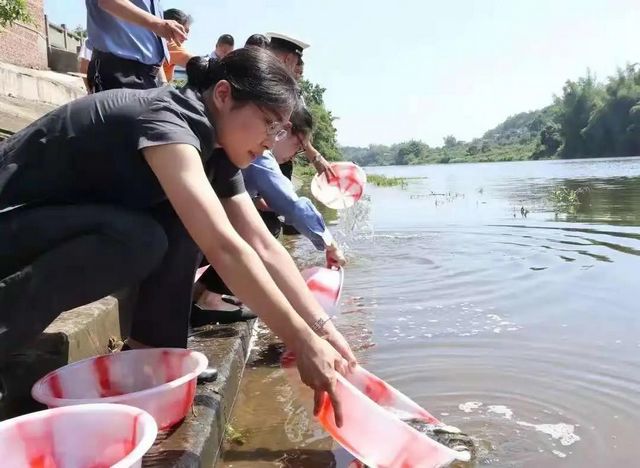 共筑生态文明之基，司法护航酒城绿色发展！(图5)
