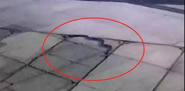 毛骨悚然！宜宾这个地方出现大蛇，还吃了2只鸡！(图3)