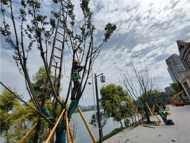 坐不住了!六段锦提升改造完成70%,内江“外滩”初现雏形(图9) 坐不住了!六段锦提升改造完成70%,内江“外滩”初现雏形(图9)