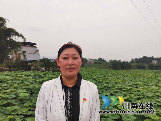 泸县:支书主任一肩挑,挑出乡村新活力(图3) 泸县:支书主任一肩挑,挑出乡村新活力(图3)