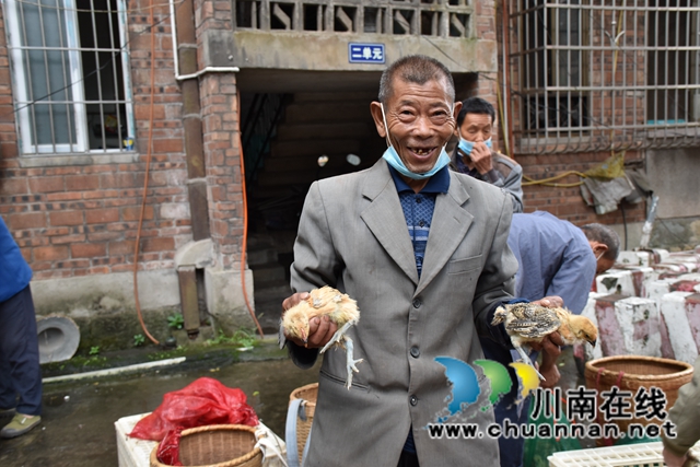 泸县残联开展“我为群众办实事”实践活动——送鸡苗下乡(图7)