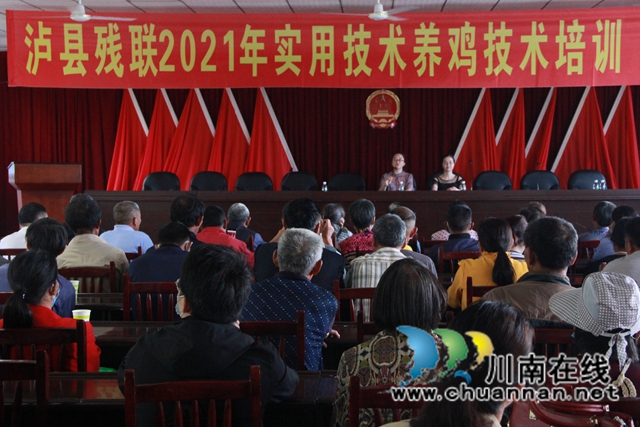 泸县残联开展“我为群众办实事”实践活动——送鸡苗下乡(图1)