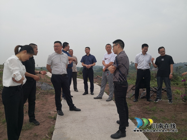 马晋宇带队到泸县云龙镇调研乡村振兴和两项改革“后半篇”文章工作(图1)