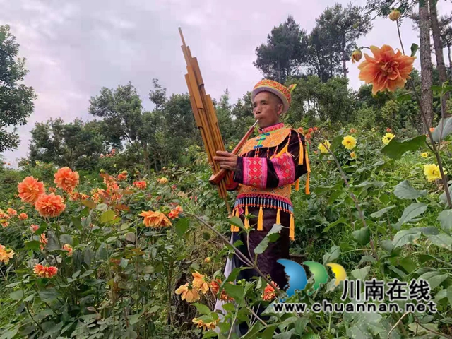 古蔺苗族同胞古美伦：大山深处的苗家致富带头人