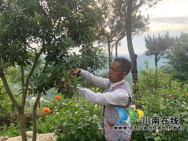 古蔺苗族同胞古美伦：大山深处的苗家致富带头人(图2)