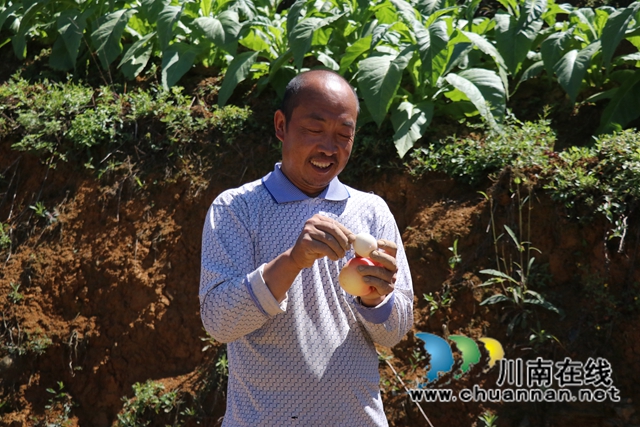 古蔺大寨乡：众人拾柴火焰高，苗汉齐心修路忙(图7)