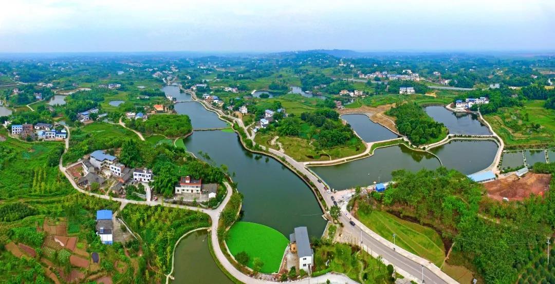 泸永江三地住建部门联手 打造区域协同合作新样板(图3)