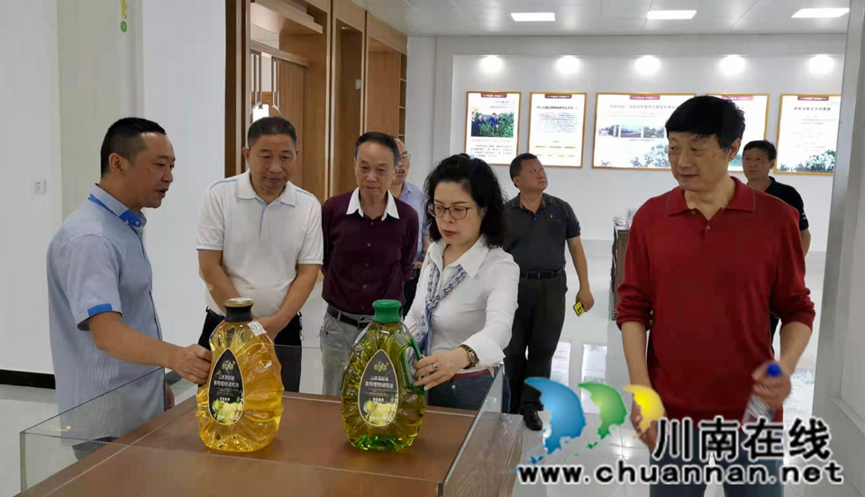 泸州市老科协调研叙永县油茶产业发展(图4)