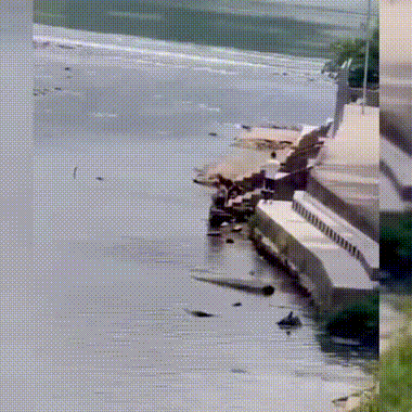 宜宾教师李屈波，你火了！(图3)