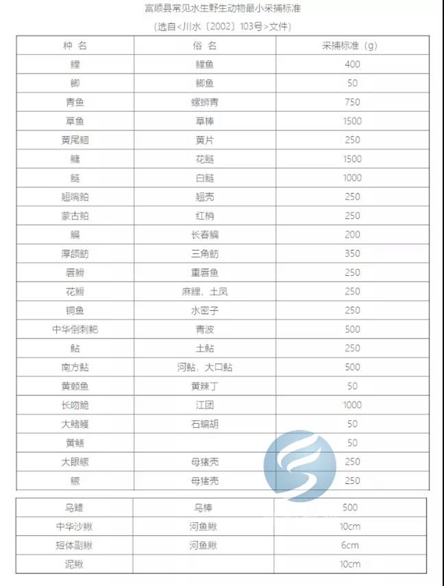 注意！富顺天然水域垂钓出新规，这些一定要注意！(图6)