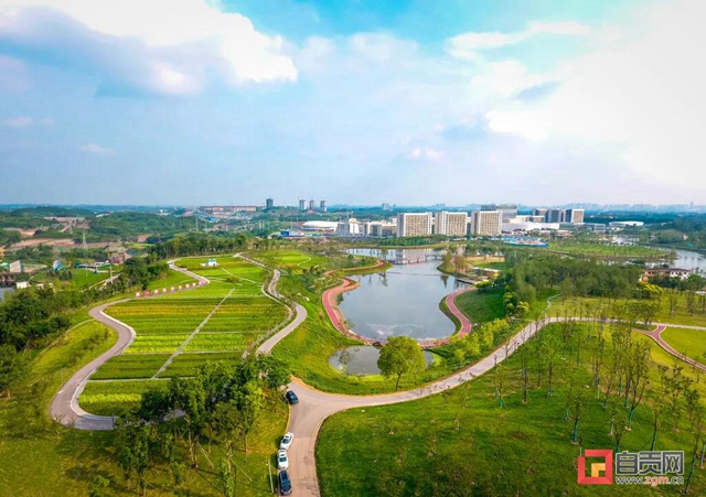 占地超50万平方米！自贡新添一座“高颜值”湿地公园(图2)