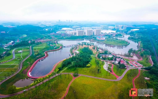 占地超50万平方米！自贡新添一座“高颜值”湿地公园(图1)