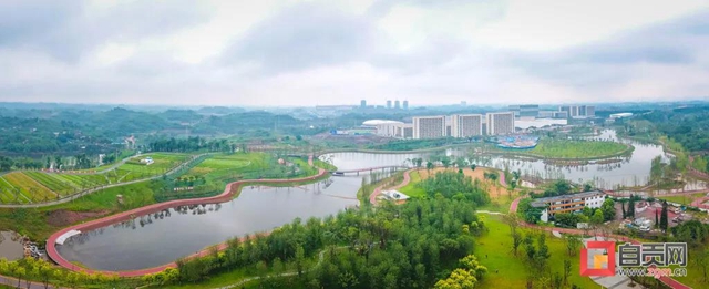 占地超50万平方米！自贡新添一座“高颜值”湿地公园(图6)