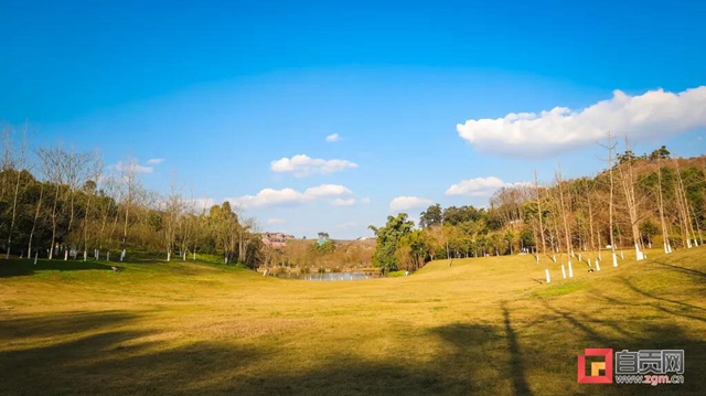 占地超50万平方米！自贡新添一座“高颜值”湿地公园(图20)