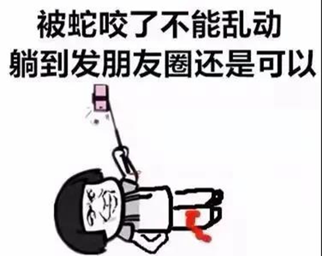 【围观】毒蛇频繁出没！泸州8人被咬伤入院……(图11)