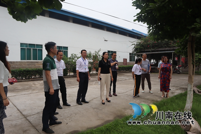 甘露带队到泸县云龙镇检查安全生产及环保工作(图2)