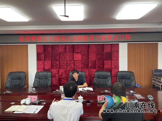 朱大清到泸县云龙镇督导森林防火和企业安全生产工作(图2)