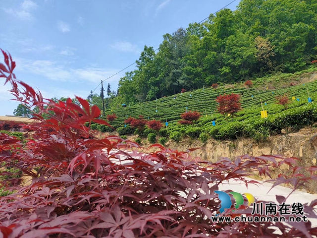 古蔺：生态环境保护忙，苗乡处处气象新(图17)