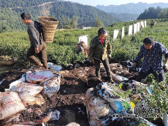古蔺：生态环境保护忙，苗乡处处气象新(图19)