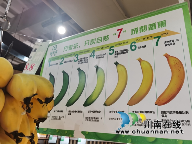 郑小红：扎根蔺州的“本地”人(图2)