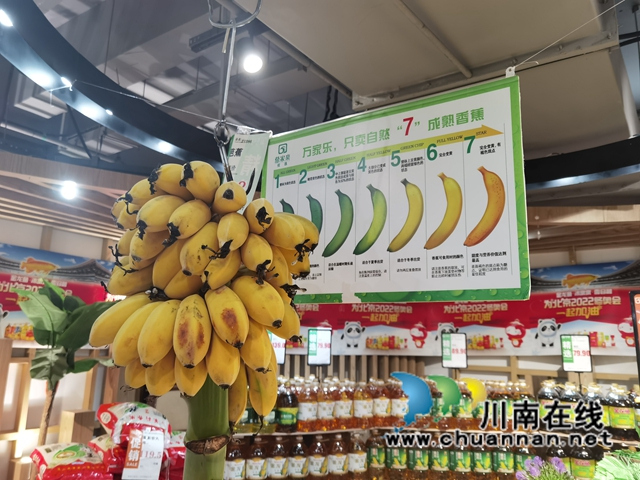 郑小红：扎根蔺州的“本地”人(图3)