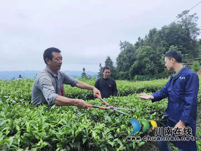 古蔺乡贤人士吴兴杰：退伍不褪色，带领群众致富奔小康(图4)