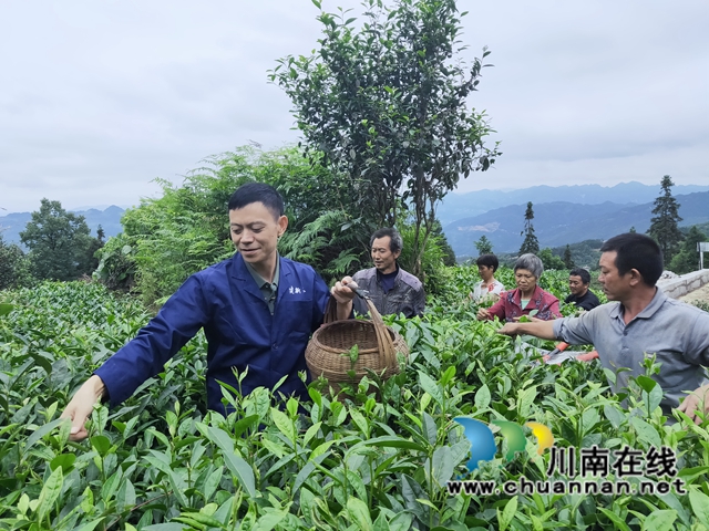 古蔺乡贤人士吴兴杰：退伍不褪色，带领群众致富奔小康(图3)