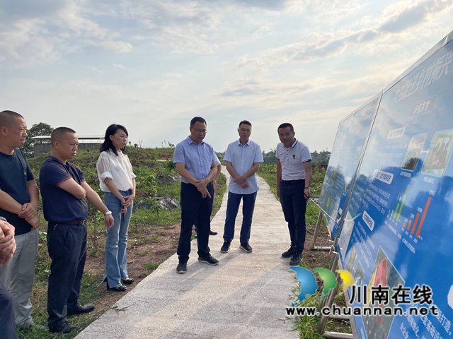 吕先带队到泸县云龙镇调研农业产业及农旅融合工作(图1)
