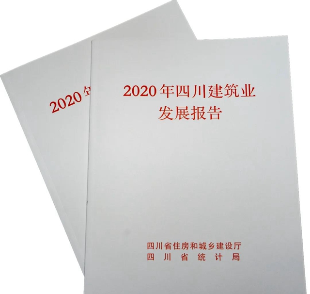《2020年四川建筑业发展报告》出炉!泸州市建筑业发展质量全省第二(图1) 《2020年四川建筑业发展报告》出炉!泸州市建筑业发展质量全省第二(图1)