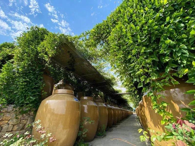 古蔺郎酒特色小镇获选四川省特色小镇(图19) 古蔺郎酒特色小镇获选四川省特色小镇(图19)