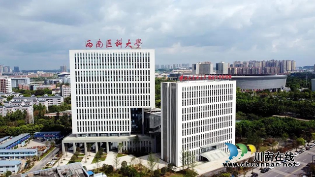 巧手共绘，川渝项目在泸州市第八届创新创业大赛乡村振兴组预赛中大放异彩！(图12)