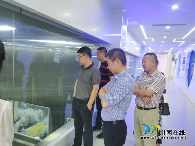 四川省市场监管局调研督导泸州市食品企业安全生产工作(图4)