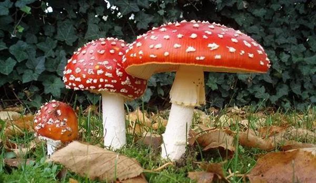 【扩散】最强降雨来袭！好多人都遭了？(图5)