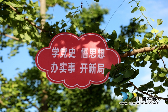 合江：大街小巷“党旗红”，喜迎“七·一”氛围浓(图4)