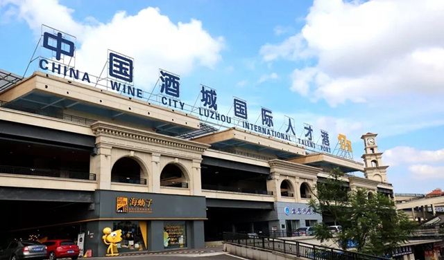 泸州市第八届双创大赛举行分组决赛赛前培训(图6)