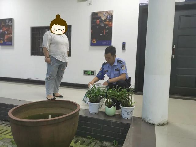 合江尧坝:民警一条微信,破解金钗石斛丢失谜团!(图4) 合江尧坝:民警一条微信,破解金钗石斛丢失谜团!(图4)