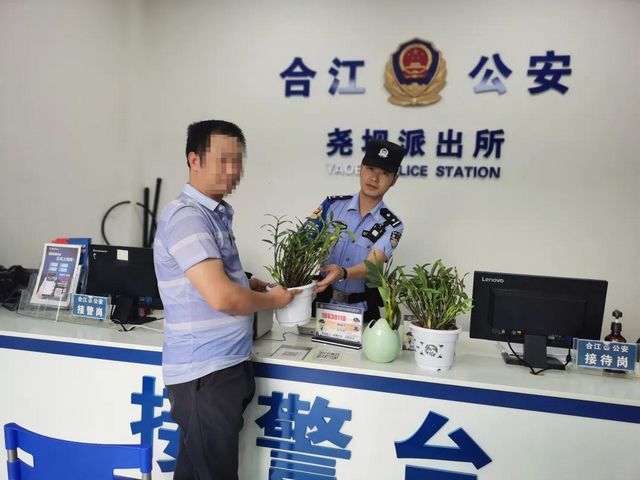合江尧坝:民警一条微信,破解金钗石斛丢失谜团!(图5) 合江尧坝:民警一条微信,破解金钗石斛丢失谜团!(图5)