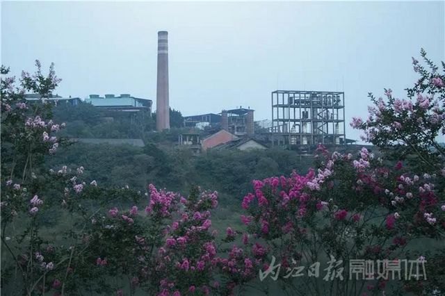 内江版“普罗旺斯”神秘面纱拉开！盛大的花海之宴开启(图13)