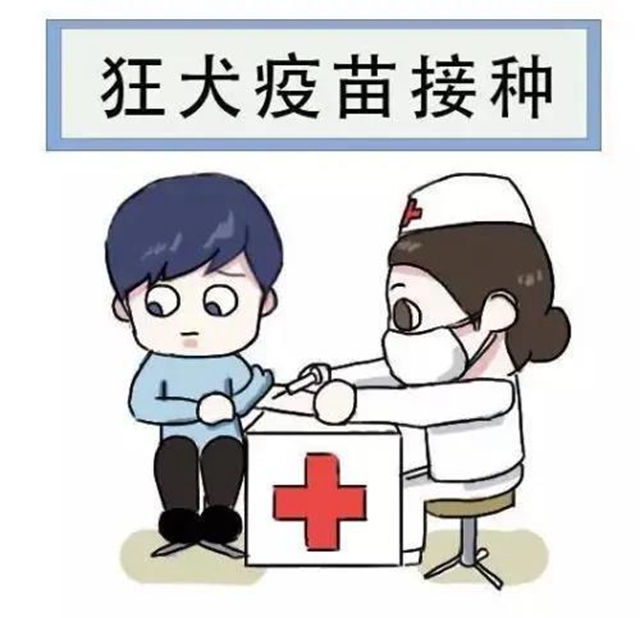 【关注】泸州大姐被狗咬伤,伤口流脓7天难愈!(图4) 【关注】泸州大姐被狗咬伤,伤口流脓7天难愈!(图4)