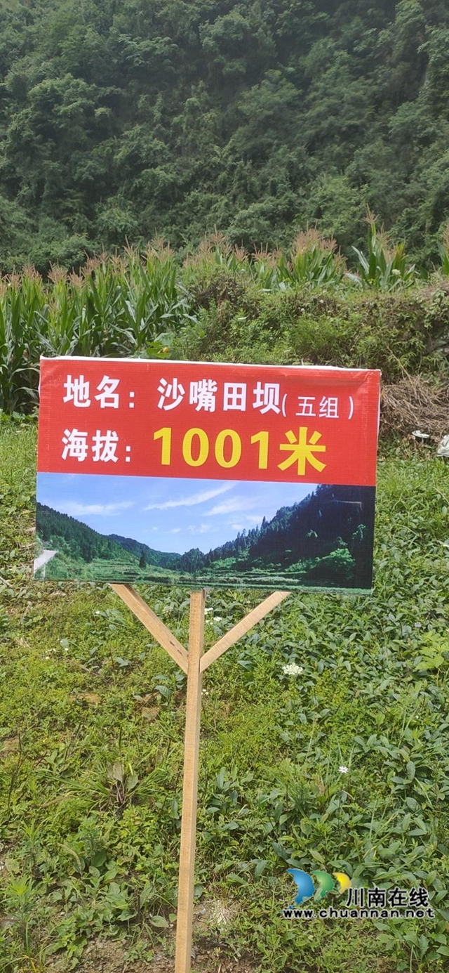 古蔺：乡村振兴，拔锚起航(图2)