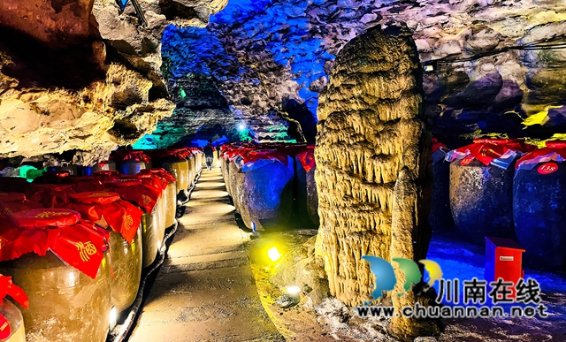 叙永县老科协财经专委会举办庆祝建党100周年活动(图4)