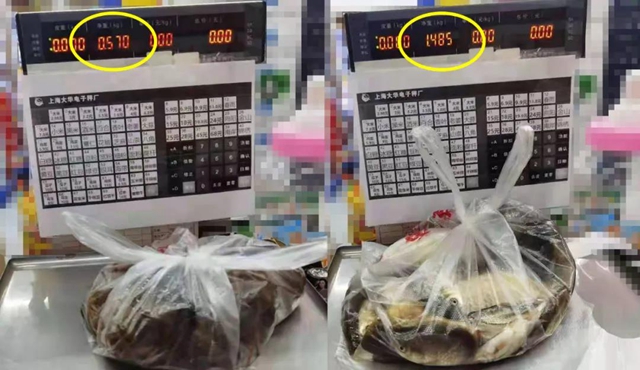 鲶鱼、鲫鱼、小龙虾,泸州男子深夜电鱼被抓,只因儿子想吃……(图3) 鲶鱼、鲫鱼、小龙虾,泸州男子深夜电鱼被抓,只因儿子想吃……(图3)