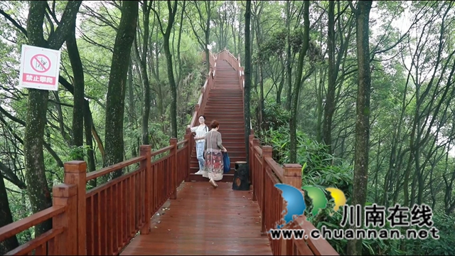 去打卡！合江笔架山城市公园升级归来(图5)