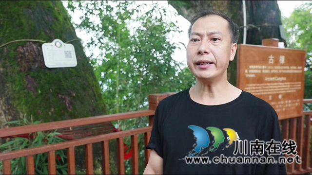 去打卡！合江笔架山城市公园升级归来(图11)
