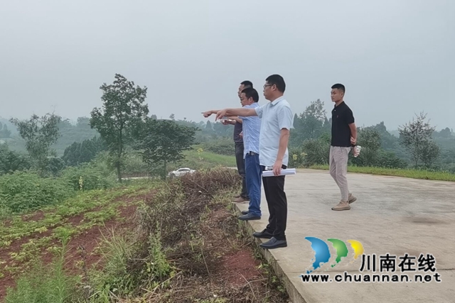 泸县财政局到百和镇调研白芷产业园区美丽乡村建设项目(图1)