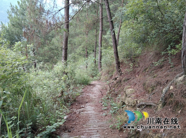 古蔺:大山深处传喜报,云上苗寨树标兵(图5) 古蔺:大山深处传喜报,云上苗寨树标兵(图5)