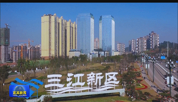 第二届中国智能终端产业发展大会在宜宾召开(图10)