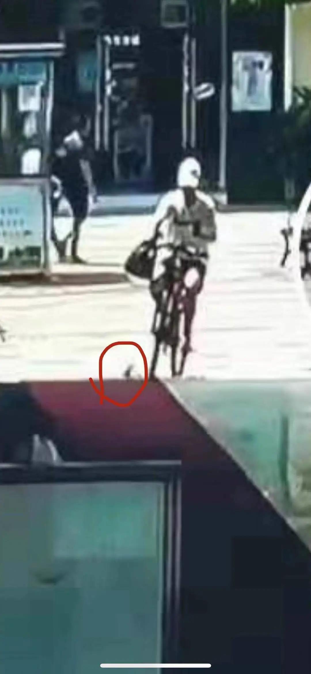 点赞！宜宾一保安捡到10万元现金完璧归赵！物业公司的做法亮了