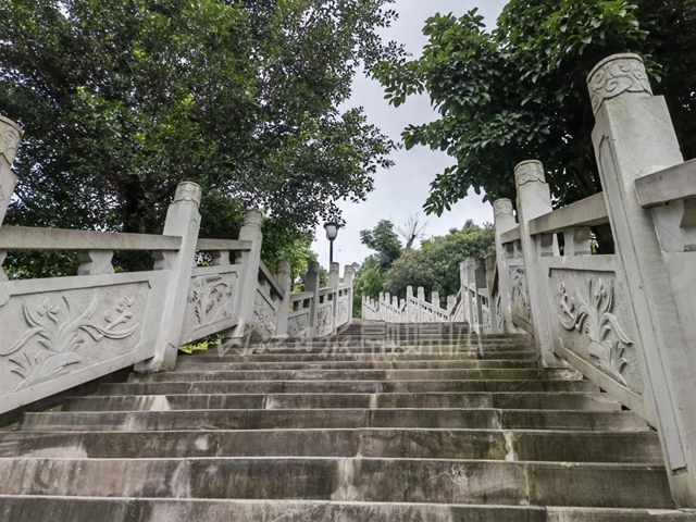 川南最大城市山地公园！爱了，这个属于内江人的“城市绿肺”(图3)